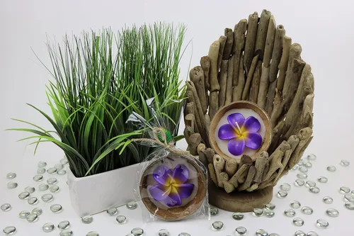 Vista 4 de Plumeria Candle In Coconut Shell crafted by Hands