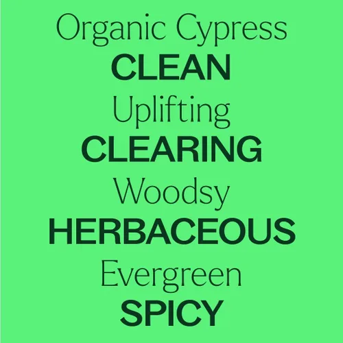 Vista 4 de Plant Therapy Aceite esencial de ciprés orgánico 10 mL (1/3 oz), 100% puro, sin diluir, aromaterapia natural para aliviar la congestión y piel clara