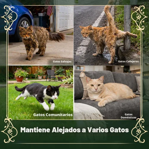 Vista 3 de Repelente para gatos al aire libre, disuasorio de arañazos para gatos en interiores, repelentes de gatos callejeros, repelente de orina de gato