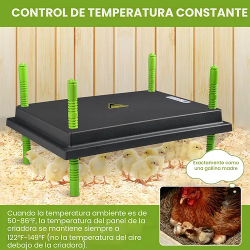 Vista 3 de Placa calefactora de pollos de 12 x 16 pulgadas para 40 patos