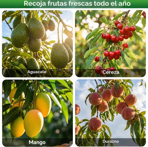 Vista 3 de Walensee Recolector de frutas de 5.5 pies, herramienta ajustable para recoger frutas con poste de acero inoxidable ligero y canasta grande,