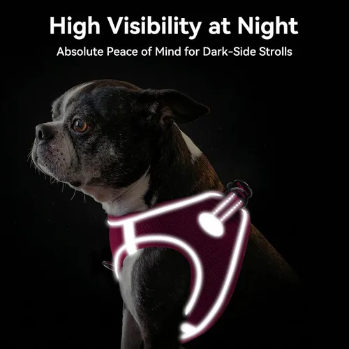 Vista 74 de Joytale Arnés para Perros Pequeños, Chaleco de Malla Transpirable Step-in, Arneses Acolchados Suaves Reflectantes para Gatos y Perros Cachorros