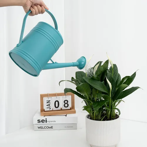 Vista 4 de Regadera para plantas de interior, regadera de flores, regadera de plástico para plantas, regadera de interior con cabezal de aspersor de 68 onzas