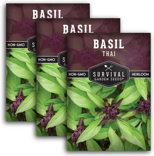 Vista 11 de Semillas de albahaca tailandesa para plantar – Albahaca dulce tailandesa con sabor a anís para cocina asiática – Semillas de hierbas tradicionales