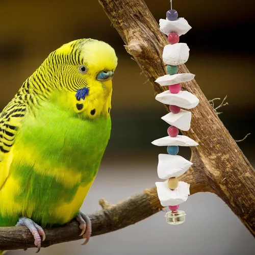 Vista 6 de Paquete de 2 juguetes para pájaros con hueso de cuttlebone, juguetes de periquito, piedra de moler de pico de pájaro, accesorios de jaula