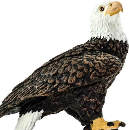 Vista 5 de Safari Ltd. Figura de águila calva - Figura de ave realista de 6 cm - Juguete educativo para niños, niñas y niños de 3 años en adelante