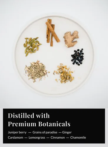 Vista 3 de Statera - Licores sin alcohol con electrolitos - Alternativa a la ginebra - Alternativa de licores destilados con botánicos de ginebra - Sin azúcar