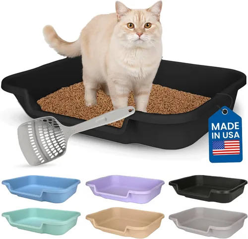 Vista 37 de KittyGoHere - Caja de arena para gatos mayores, sartén pequeña con cuchara jumbo de mango largo, caja de arena para gatos de entrada baja, ligera