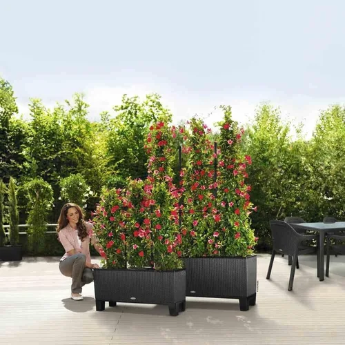 Vista 3 de Lechuza Pedestal para macetas Trio 30, L38.6 W12 H5.9 pulgadas
