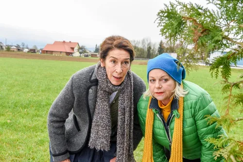 Vista 3 de Vier Frauen und ein Todesfall - Komplettbox, 18 DVD
