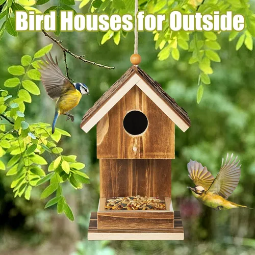 Vista 3 de Casas de pájaros para colgar en el exterior, comedero para colibríes, cardenal Wren, pájaros silvestres, pájaros silvestres, pequeña casa de pájaros