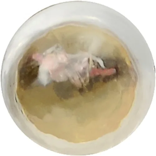 Vista 7 de SYLVANIA Bombilla miniatura básica 1891 (contiene 10 bombillas)