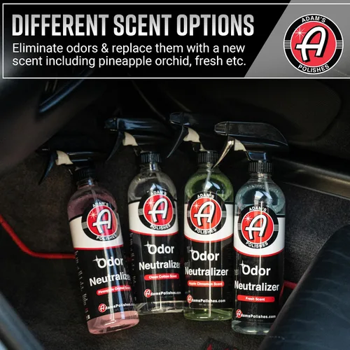 Vista 4 de Adam's Polishes Neutralizador de olores (manzana y canela, 16 onzas líquidas) – Ambientador en aerosol para automóvil que elimina los olores nocivos