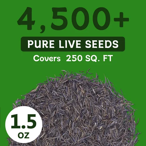 Vista 4 de LUOJIBIE Cosmos Seeds, más de 4,500 semillas de flores cosmos para 2026, semillas de flores silvestres para plantar jardín al aire libre, mezcla