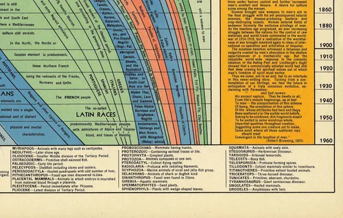 Vista 8 de Histomap of Evolution - Regalos para los amantes de la historia - Póster de aula - Mapa de investigación científica geología genética