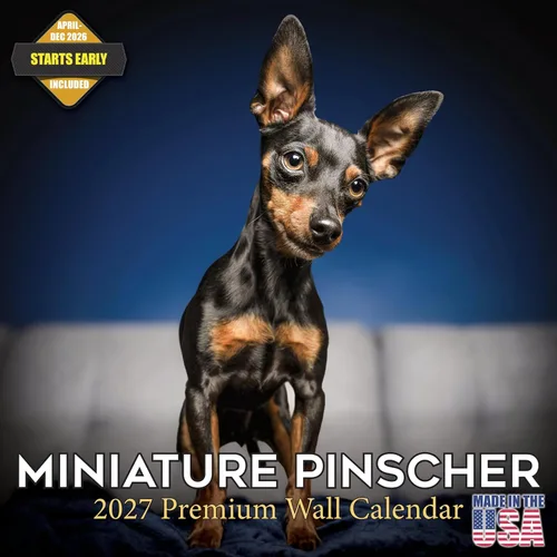 Vista 191 de Calendario de Lebrel Afgano 2025 2026, calendario mensual de pared de raza canina, 12" x 18" abierto, papel grueso sin traspaso, ideal para regalo