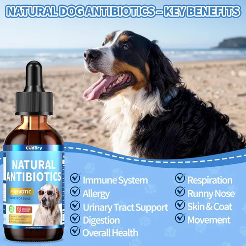 Vista 4 de Apoyo digestivo e intestinal para gatos y perros - Probióticos masticables suaves para gatos + suplemento de antibióticos de hierbas para perros