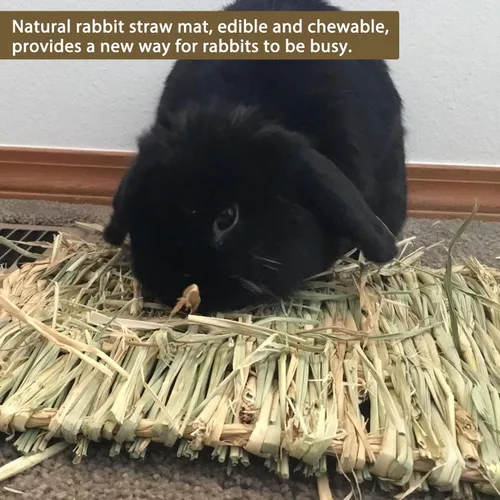 Vista 3 de 8 alfombrillas de hierba de conejo, tapete de hierba natural de conejo, tapete para cama de mascotas, conejos, juguetes masticables para hámsters