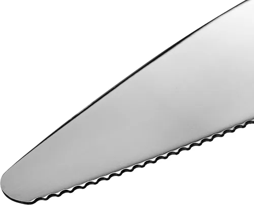 Vista 5 de Tosnail Servidor para tartas de 24 paquetes, servidor de pastel de acero inoxidable de 9 pulgadas, espátula para pizza, cortador de tartas, raspador