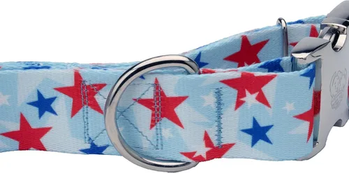 Vista 5 de Country Brook Petz HossFit Jr - Collar ancho de alta calidad para perro, colección Americana con diseños patrióticos (celebración americana, mediano)