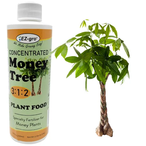 Vista 6 de Fertilizante líquido profesional para bonsái de EZ-gro Fertilizante concentrado de plantas de interior con relación 3:1:2 para tu árbol bonsái 8
