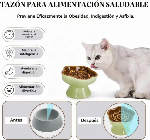 Vista 3 de S&Q's CERAMICS Cuenco elevado de alimentación lenta para gatos, cuenco elevado de cerámica para comida para mascotas para perros pequeños, comedero
