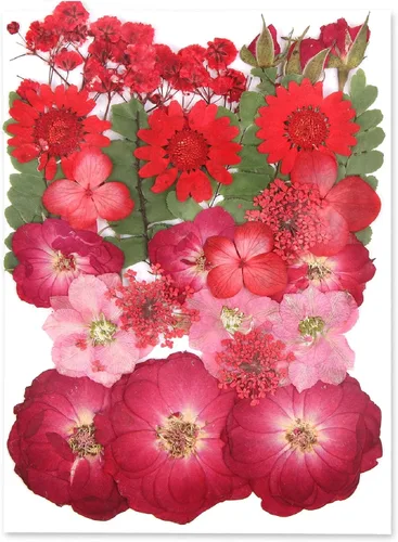 Vista 9 de Augshy Juego de flores secas prensadas reales con calcomanías transparentes de mariposa, calcomanías para álbumes de recortes, flores secas