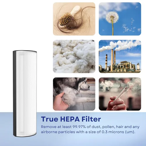 Vista 6 de Nispira Filtro de repuesto TPP440 TPP440F para Envion Therapure TPP540 TPP640 TPP640S AP200 Purificador de aire True HEPA con carbón activado, 2