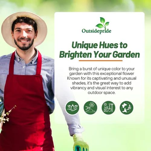 Vista 6 de Outsidepride 1000 semillas anuales de caléndula rosa sorpresa Pot semillas de flores de caléndula para plantar