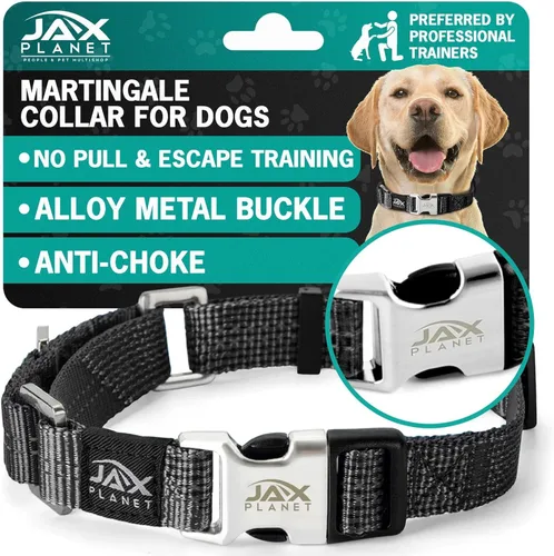 Vista 12 de Collar Martingale para perros, collar de entrenamiento para perros sin tirones y antideslizante, nailon resistente para caminar activamente, hebilla