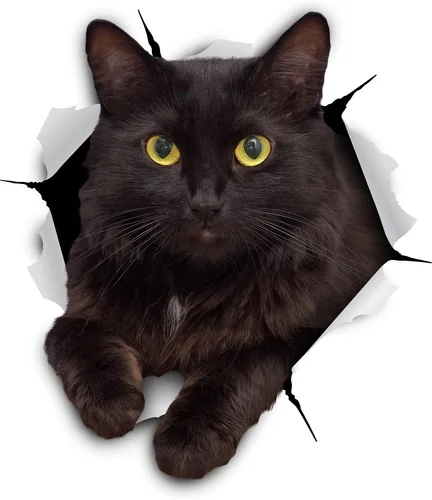Vista 8 de Winston & Bear Calcomanías 3D de gatos, paquete de 2, calcomanías de pared de gato negro, regalos para amantes de los gatos, calcomanías de pared