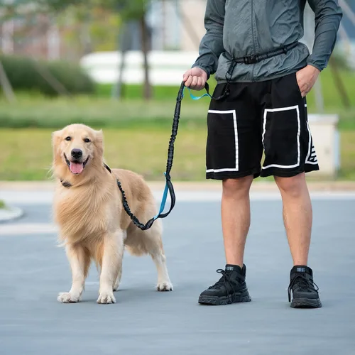 Vista 7 de iYoShop Correa de perro manos libres con bolsa con cierre, dobles asas acolchadas y elástica duradera para caminar, trotar y correr con tu perro