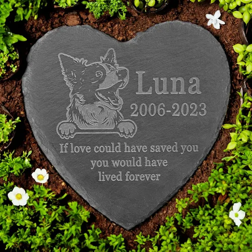 Vista 33 de Memorial personalizado de American Staffordshire Terrier, lápida de American Staffordshire Terrier, condolencias por pérdida de American