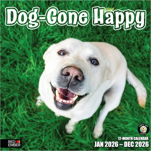 Vista 19 de RED EMBER Calendario de pared Doggy Disasters 2027 de 12 meses 01 - Perros traviesos