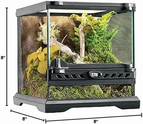 Vista 8 de Kit de terrario de vidrio Exo Terra, para reptiles y anfibios, Nano, 8 x 8 x 8 pulgadas, PT2599A1