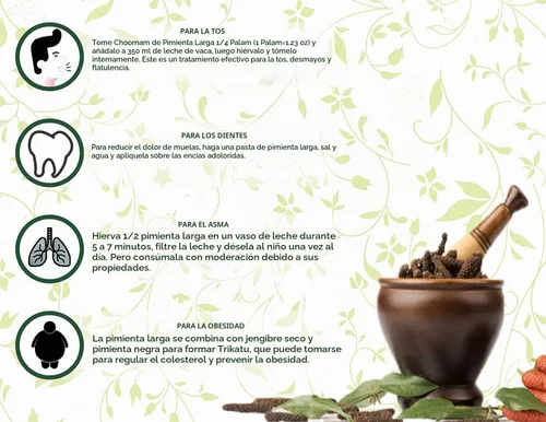 Vista 5 de AYURVEDASHREE Pimienta larga india entera prémium (Pippali) 3.53 oz - Auténtico pipli, thippili y pimienta negra larga