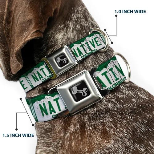 Vista 2 de Buckle-Down Collar de perro con hebilla para cinturón de seguridad, placa de matrícula de Colorado, 1 pulgada de ancho, se adapta a cuello de 15 a