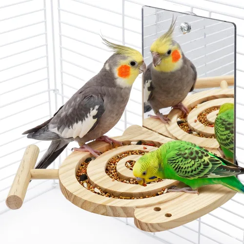 Vista 8 de Juguetes de búsqueda de aves con perca, para principiantes y mayores