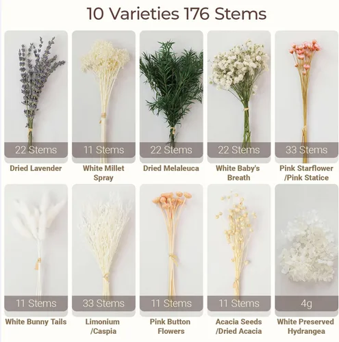 Vista 3 de LUXEEASE 11 tipos de mini ramo de flores secas mixtas con tallos, 176 Neutrales Naturales