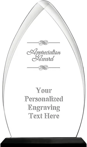 Vista 39 de Crown Awards Premio acrílico personalizado de 9.25 pulgadas de Gateway Skyline