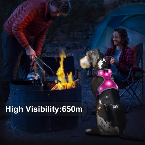 Vista 3 de Arnés para perro que brilla en la oscuridad recargable por USB (rosa, L)