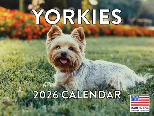 Vista 70 de Calendario mensual de pared Airedale Terrier Dog 2027 rojo (Airedale Terrier)