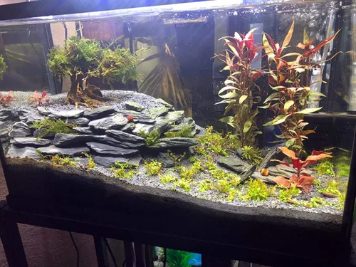 Vista 3 de H2Pro Decoración de acuario de roca de pizarra negra (44 libras por caja)