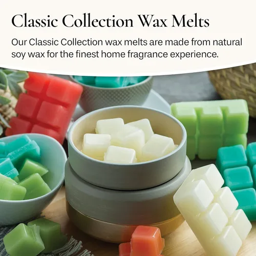 Vista 7 de Candle Warmers Etc Velas Derretidas Clásicas 2.5oz, Fragancia de Bálsamo de Abeto (Paquete de 4) – Cada paquete contiene 4 velas derretidas de 2.5