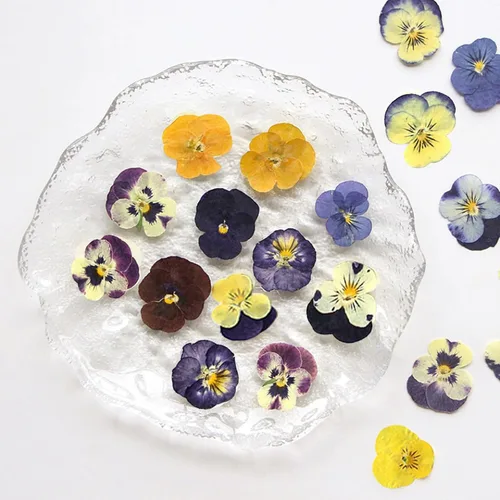 Vista 10 de 48 piezas de flores secas prensadas para manualidades, resina, bricolaje, flores naturales secas y epoxi, flores reales con hojas, plantas