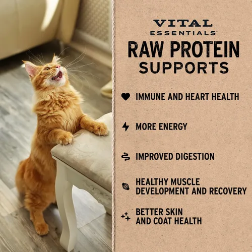 Vista 4 de Vital Essentials Freeze Dried Cat Food, Beef & Chicken Mini Patties, 8 oz