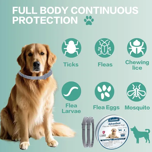 Vista 7 de Collar antipulgas para perros, tratamiento y prevención de pulgas