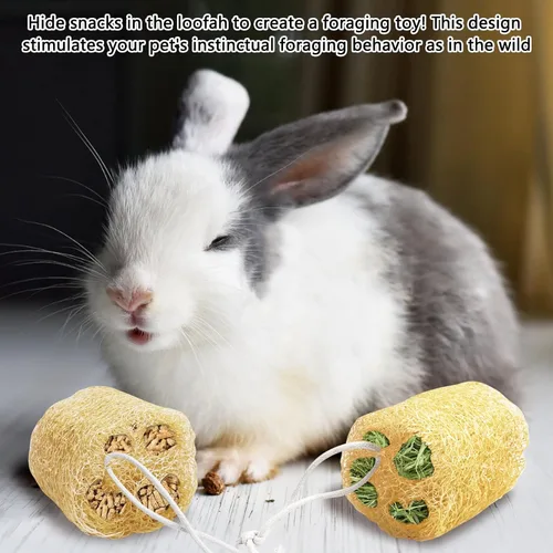 Vista 6 de 12 piezas de juguetes masticables de conejo, juguete masticable natural de conejo, lufa, juguetes para moler dientes de chinchilla, conejillo