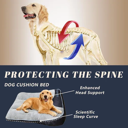 Vista 5 de Cama Ortopédica para Perros - Cama para Mascotas Tipo Sofá, Almohadilla Extra Gruesa y Cómoda para Jaula de Perros con Espacio para Moverse
