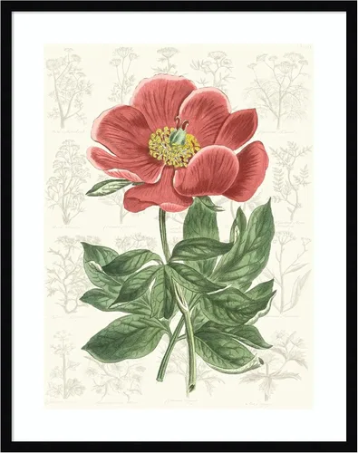 Vista 11 de Amanti Art Vision Studio - Lienzo decorativo para pared, 24 x 20 pulgadas, diseño de jardín de flores de peonía, arte de pared de flores, decoración